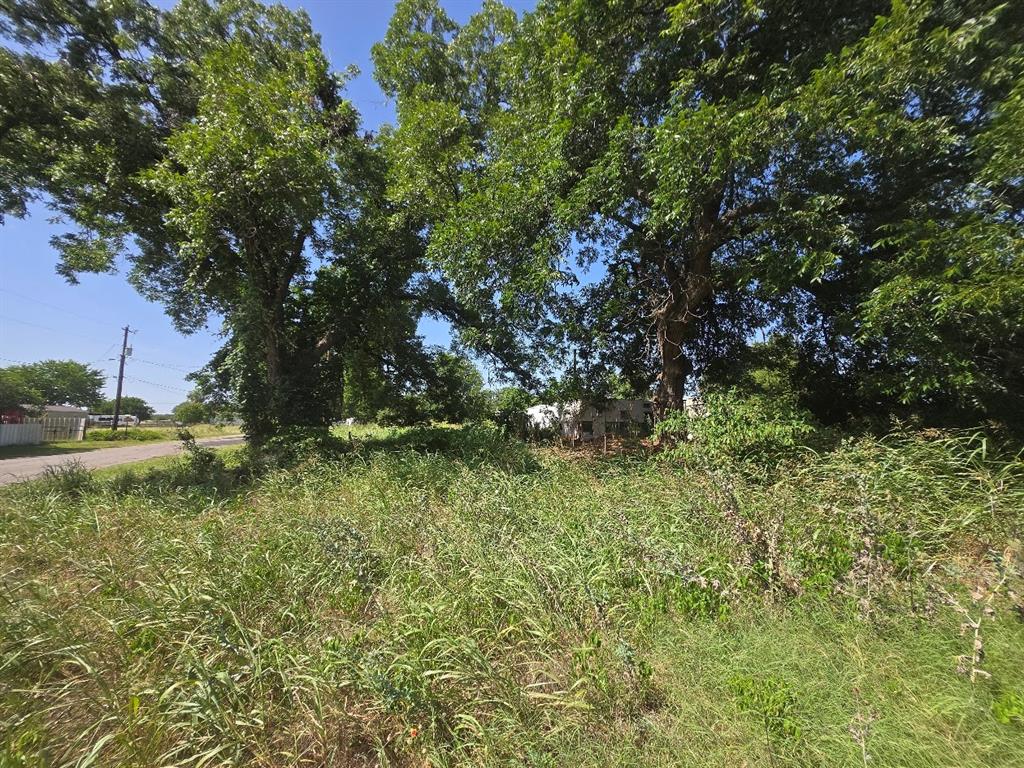 Tbd Cimmaron Trail Property Photo 3
