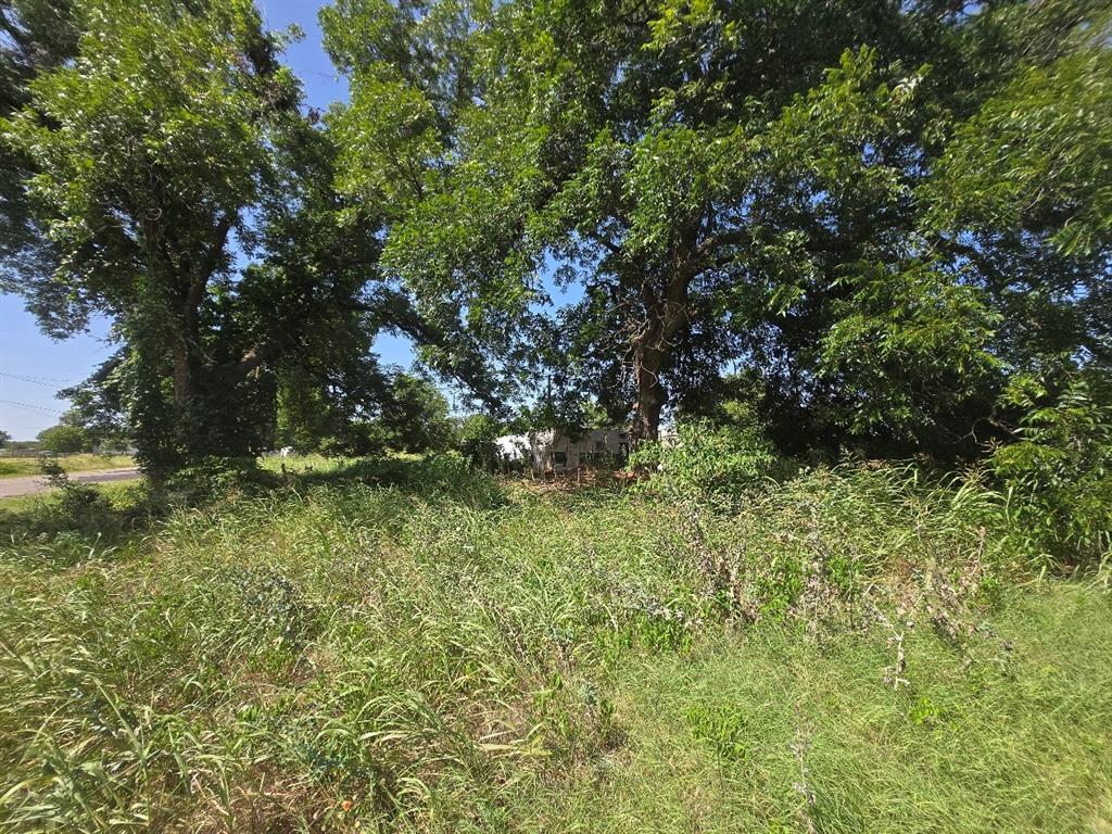 Tbd Cimmaron Trail Property Photo 13