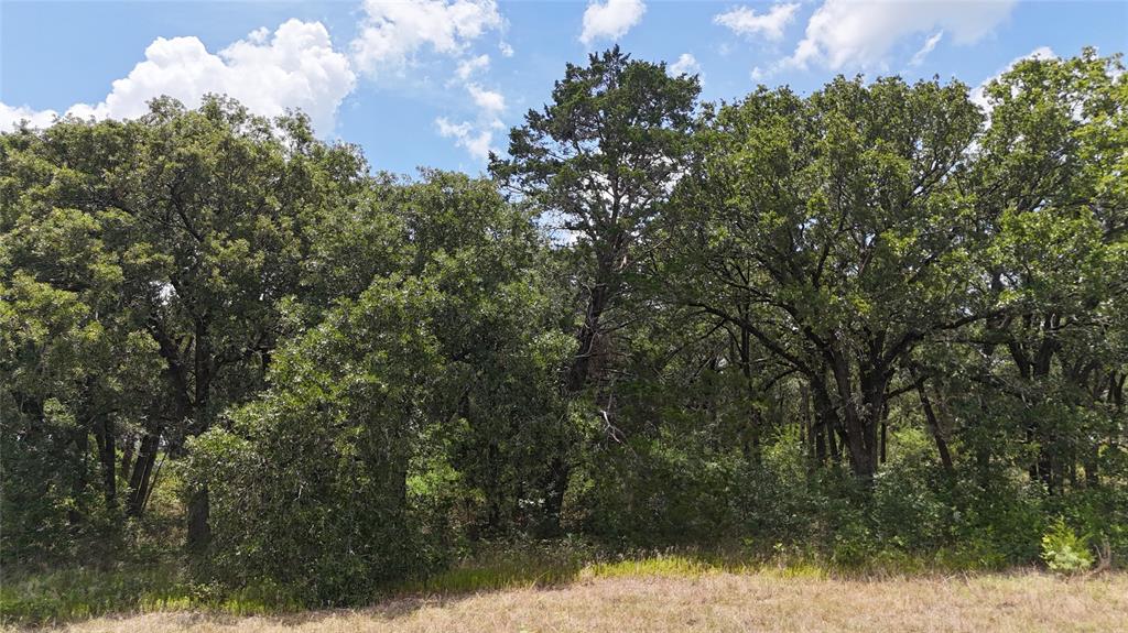 Lot 7 Ne County Road 3040 Property Photo 18