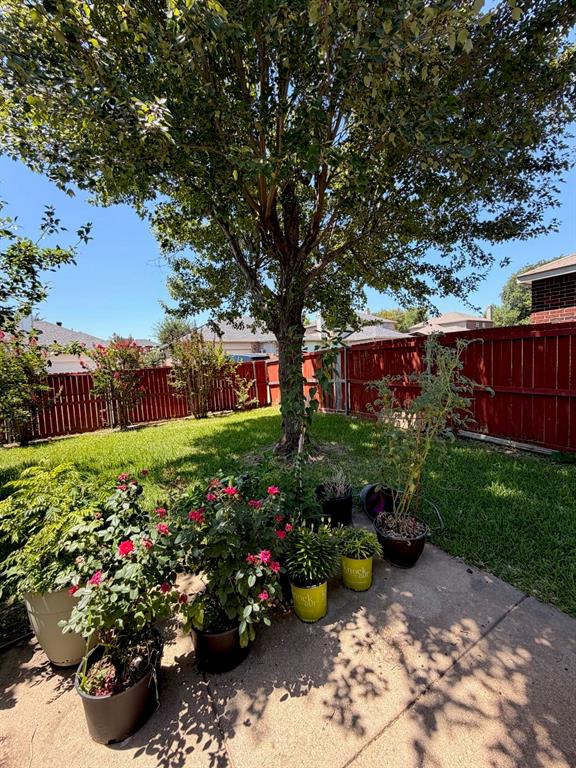 732 Dandelion Drive Property Photo 12