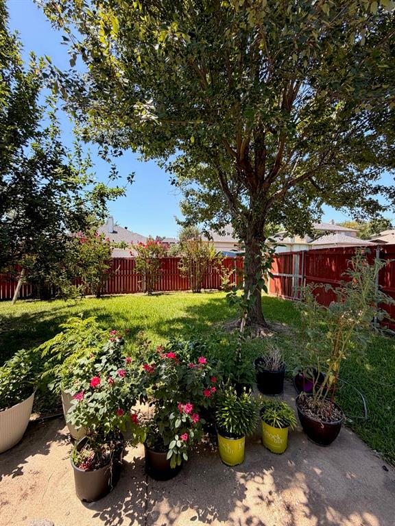 732 Dandelion Drive Property Photo 13