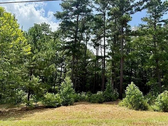 16203 County Road 436 Property Photo 1