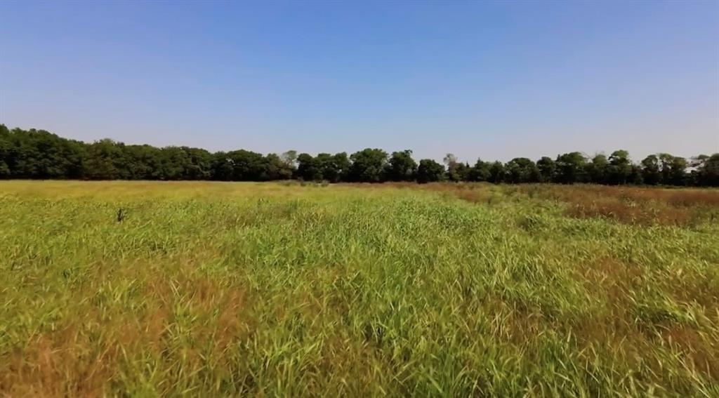 4611 Stout Road Property Photo 9