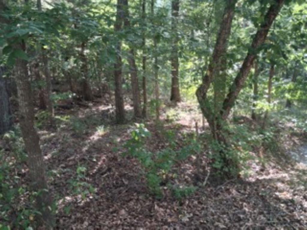 Tbd Summit Ridge Property Photo 4