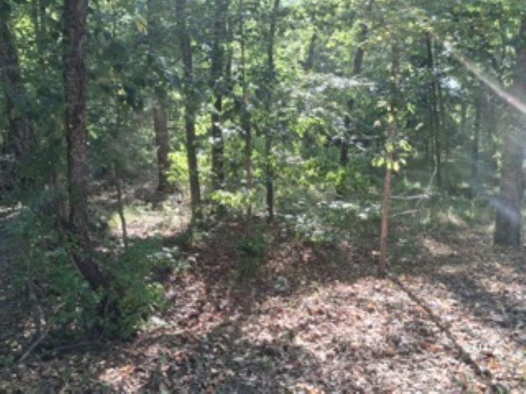 Tbd Summit Ridge Property Photo 5