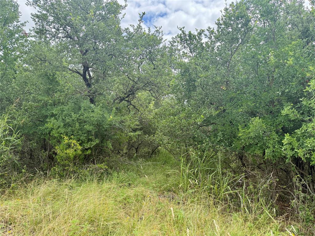 Tbd Hillcrest Drive Property Photo 6