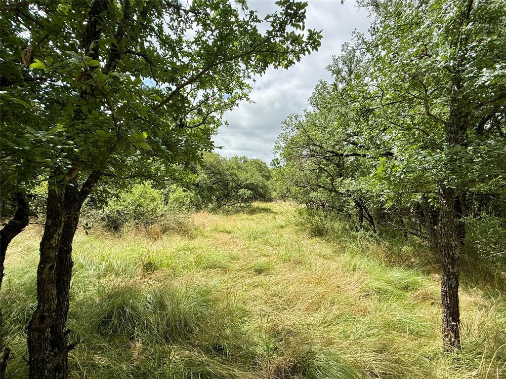 Tbd Hillcrest Drive Property Photo 10