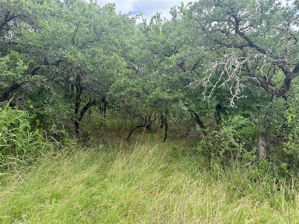 Tbd Hillcrest Drive Property Photo 13