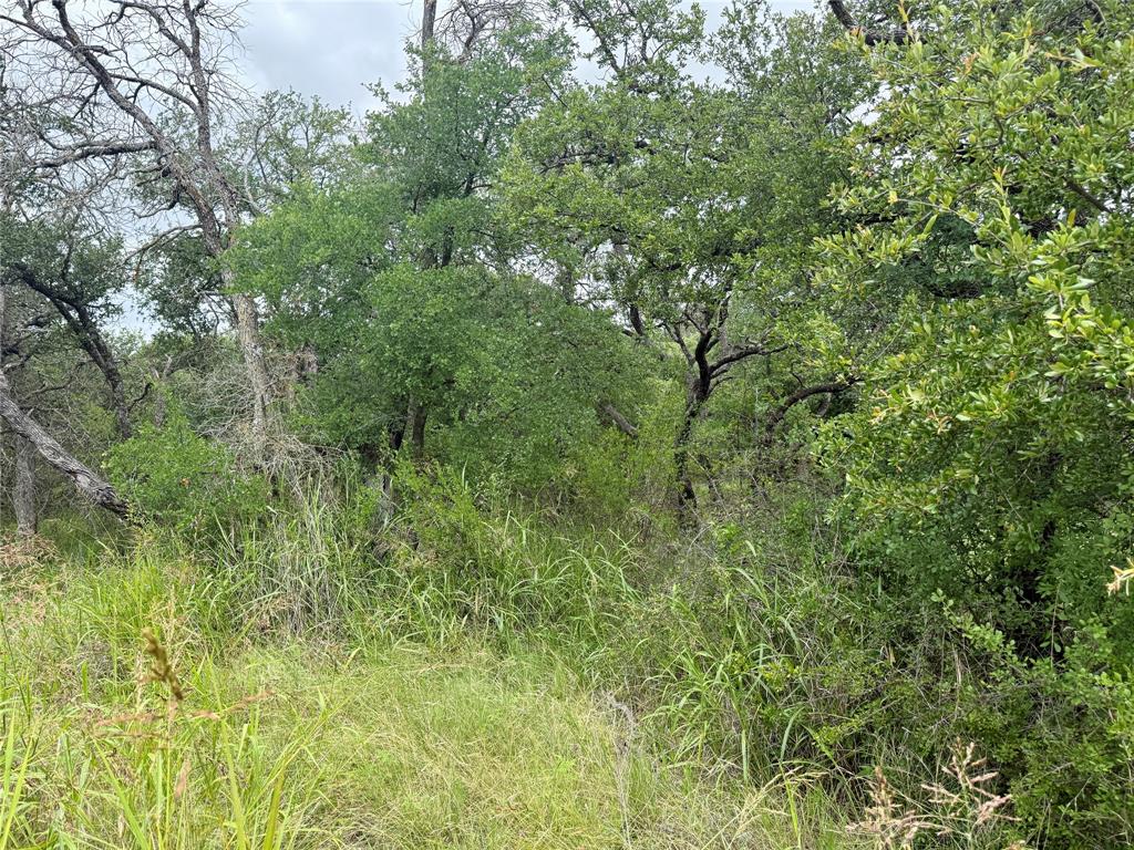 Tbd Hillcrest Drive Property Photo 14