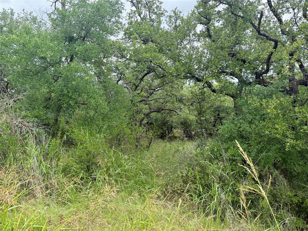 Tbd Hillcrest Drive Property Photo 15