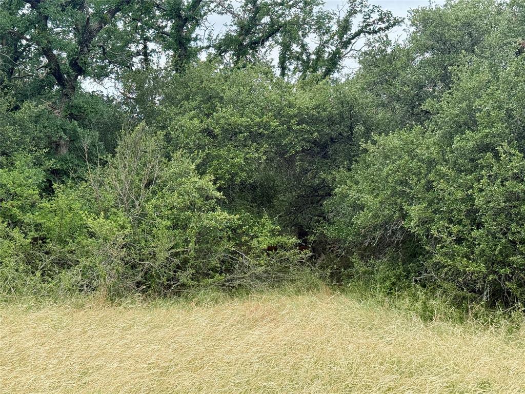 Tbd Hillcrest Drive Property Photo 16