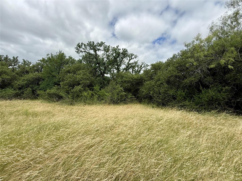 Tbd Hillcrest Drive Property Photo 17