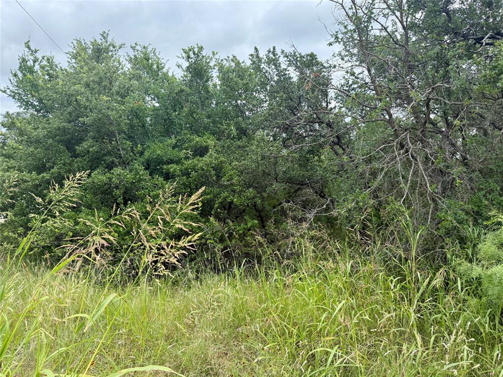 Tbd Hillcrest Drive Property Photo 19