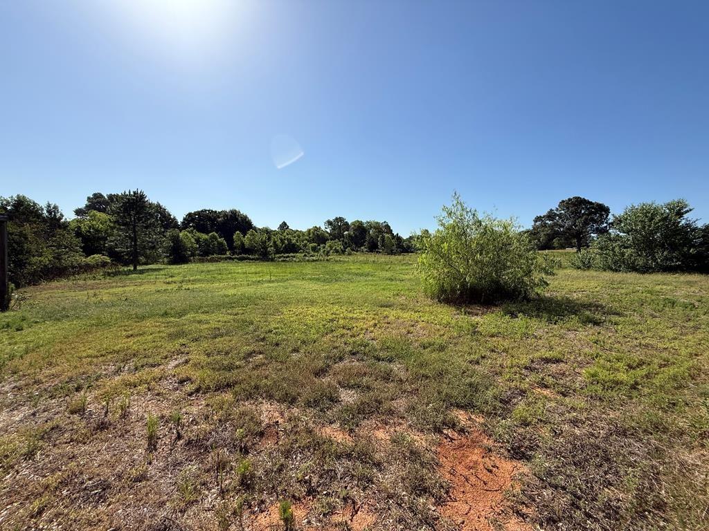 1362 Woodridge Property Photo 25