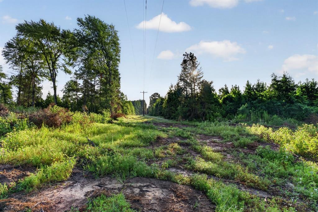 Tbd 42 Acres Cr 3116 Property Photo 7