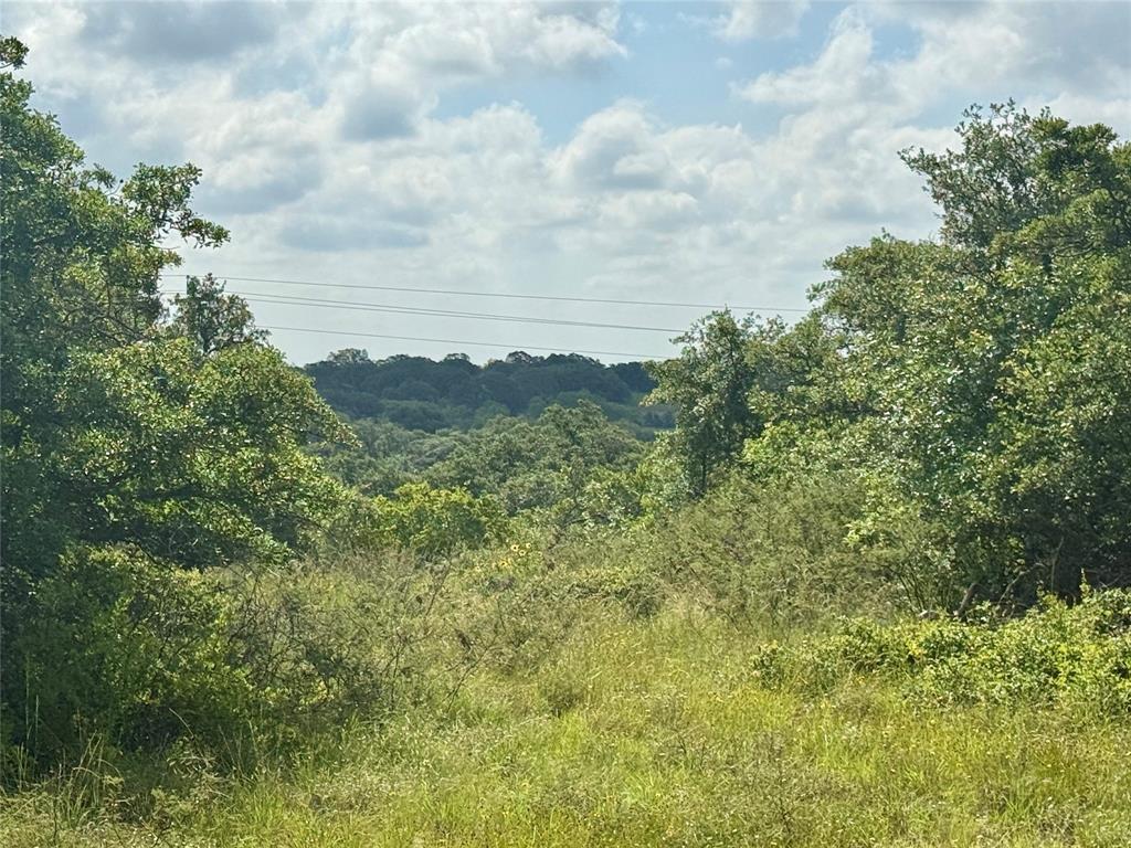 1315 County Road 419 Property Photo 6