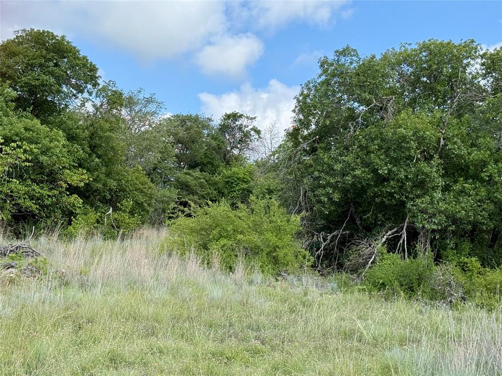 1315 County Road 419 Property Photo 16