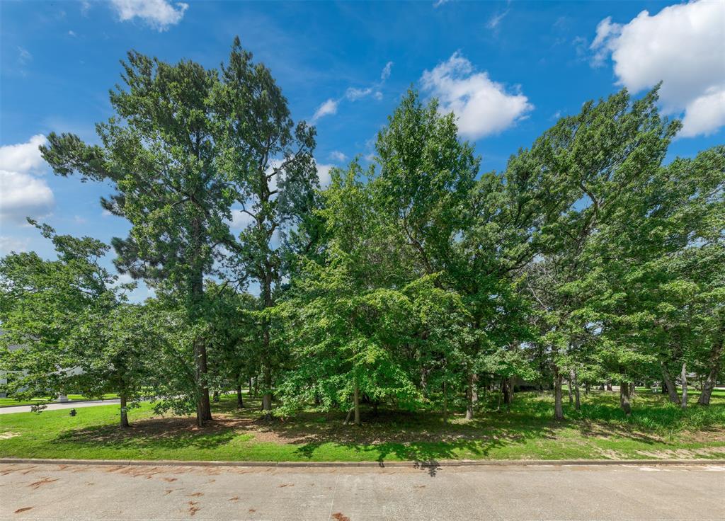 160 Eagles Bluff Drive Property Photo 12