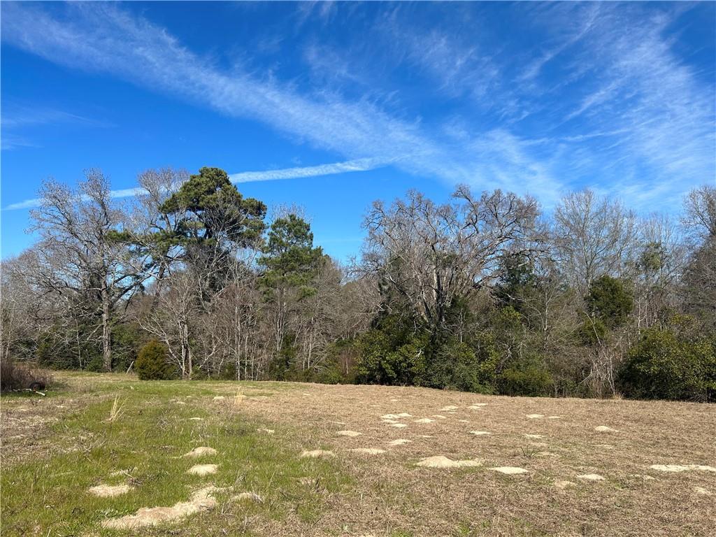 2133 Fm 2423 Property Photo 4
