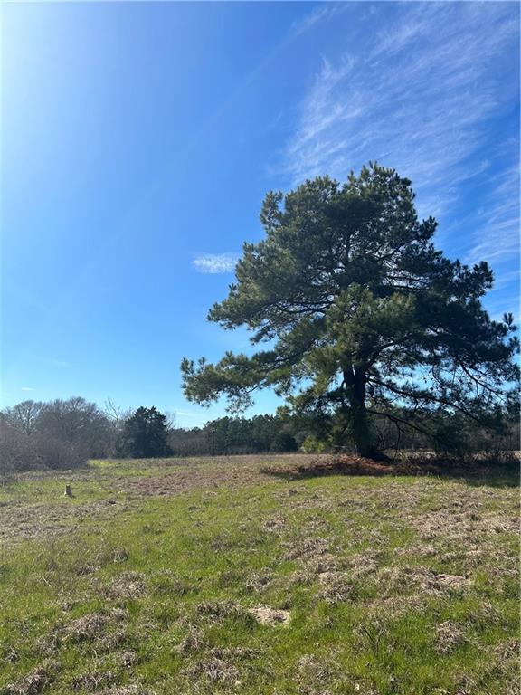 2133 Fm 2423 Property Photo 9