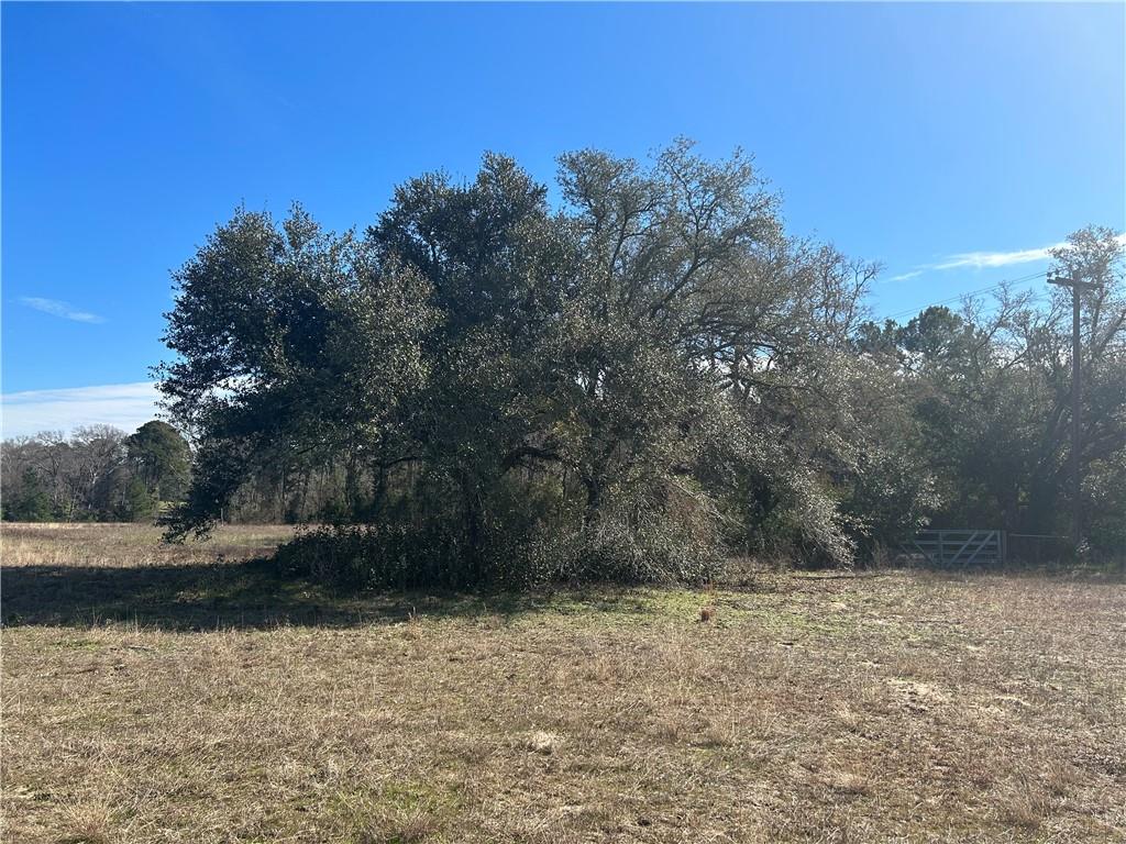 2133 Fm 2423 Property Photo 14