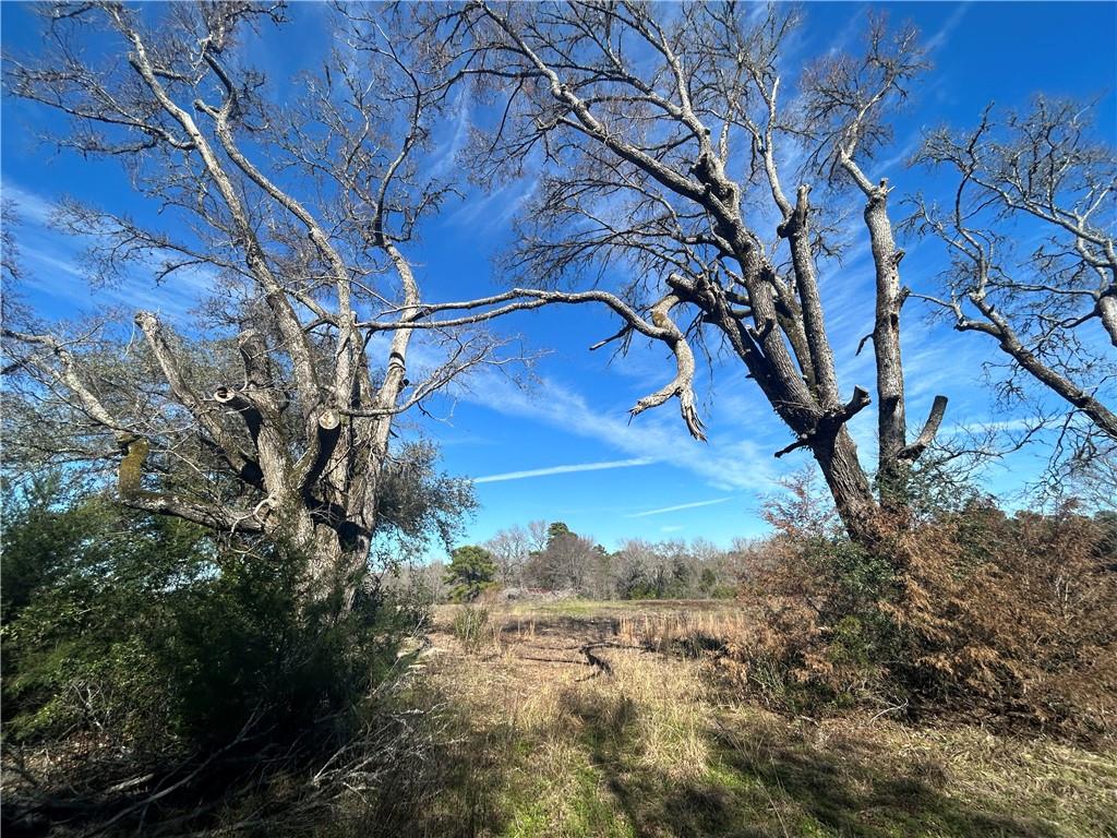 2133 Fm 2423 Property Photo 16