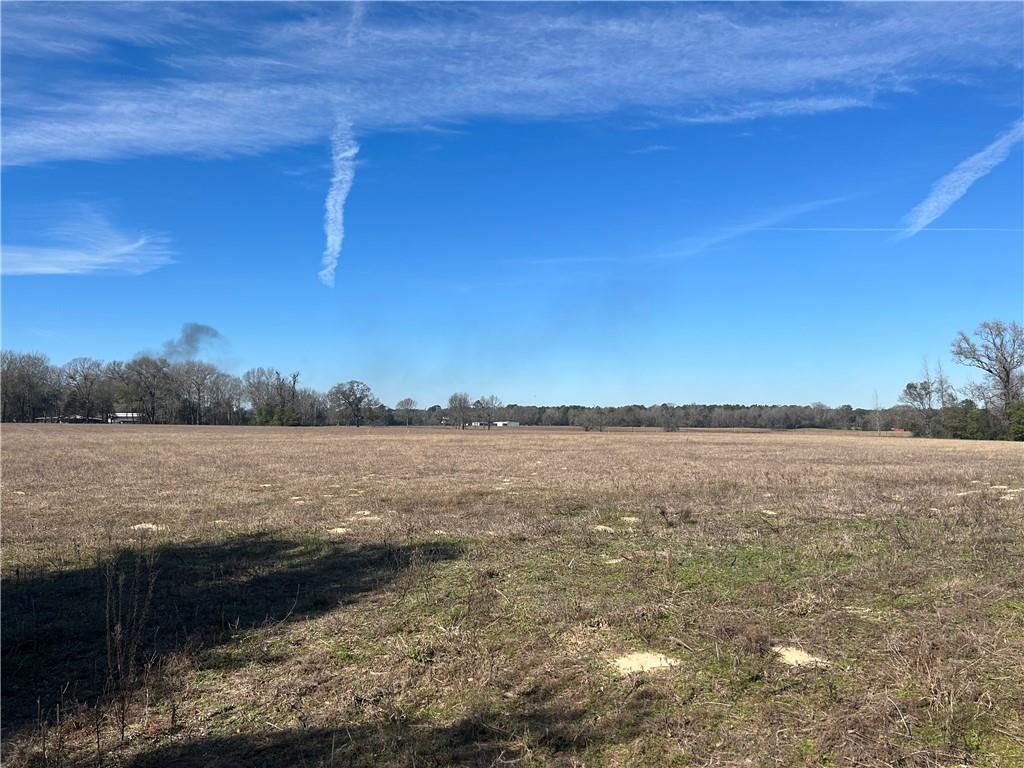 2133 Fm 2423 Property Photo 17