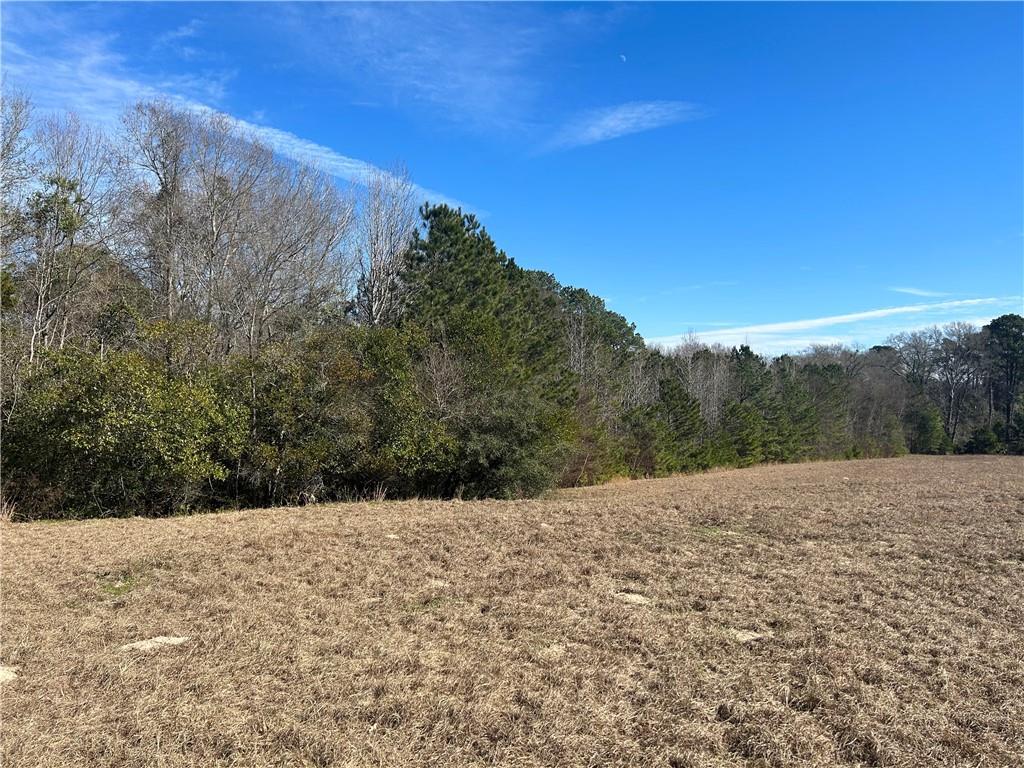 2133 Fm 2423 Property Photo 19
