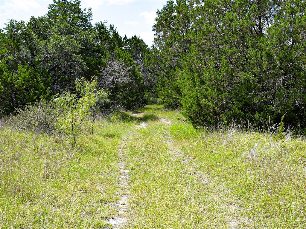 Lot 2 61 County Road 442 Property Photo 7
