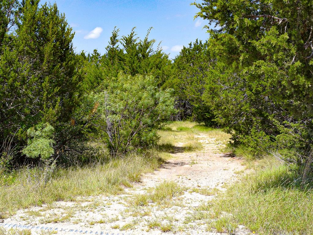Lot 2 61 County Road 442 Property Photo 9