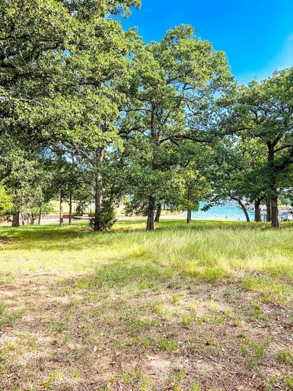 14216 Clark Drive Property Photo 2