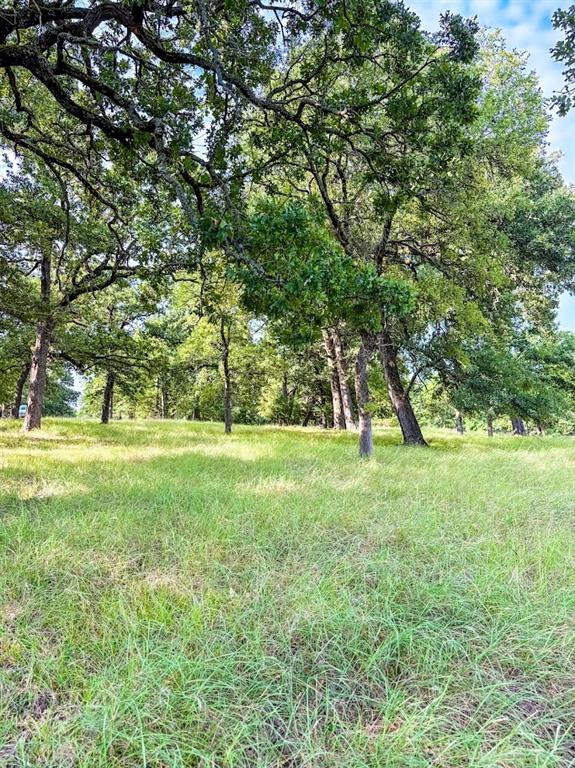 14216 Clark Drive Property Photo 9