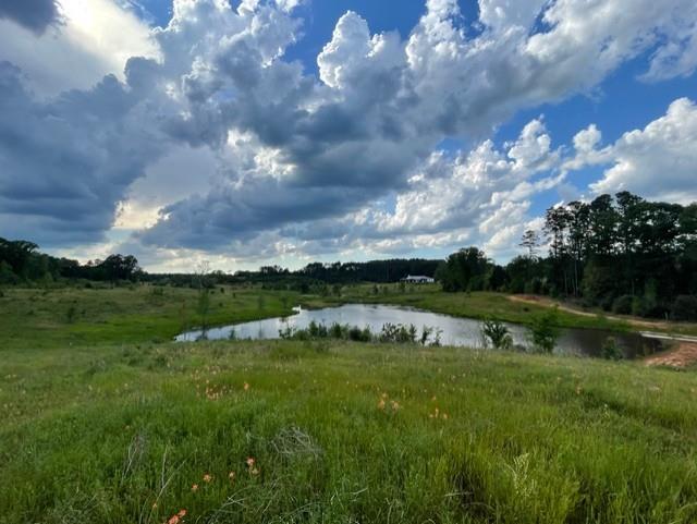 11476 Fm 1716 Property Photo 26