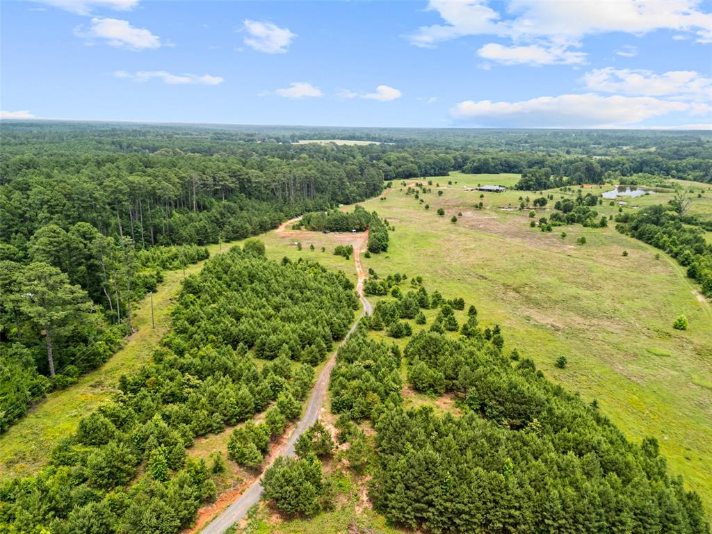 11476 Fm 1716 Property Photo 32