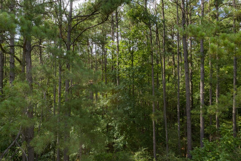 00 County Road 4117 Property Photo 3