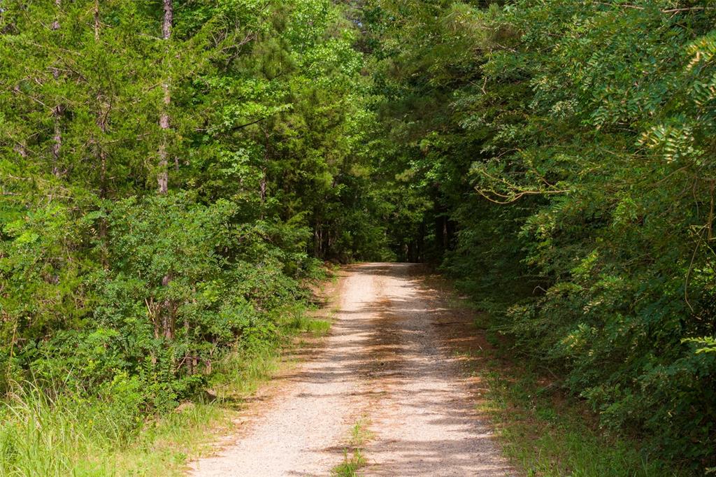00 County Road 4117 Property Photo 18