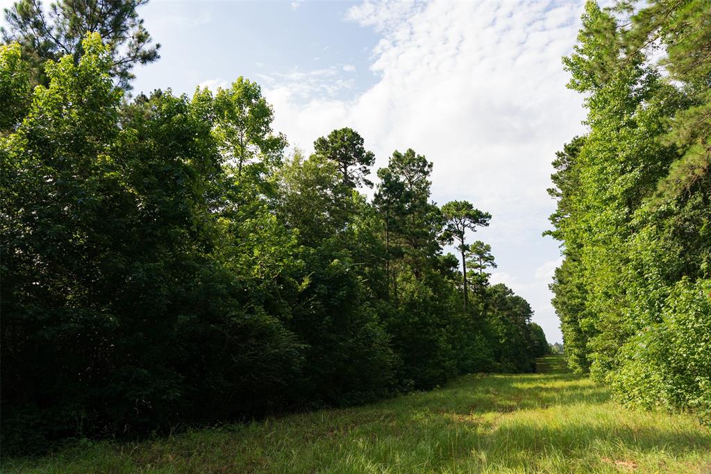 00 County Road 4117 Property Photo 20