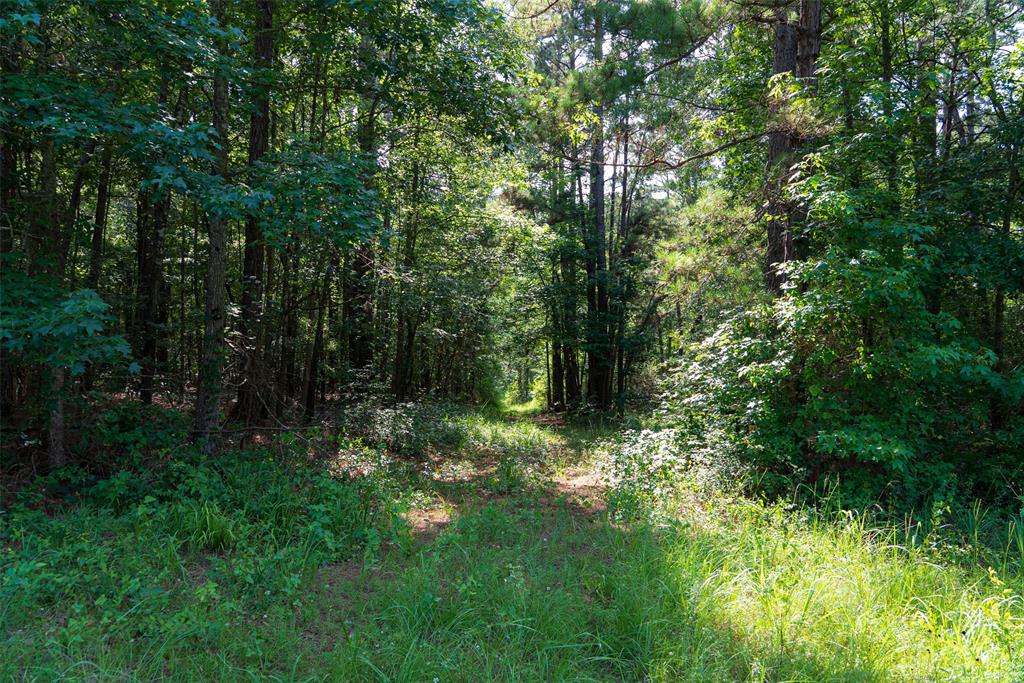 00 County Road 4117 Property Photo 22