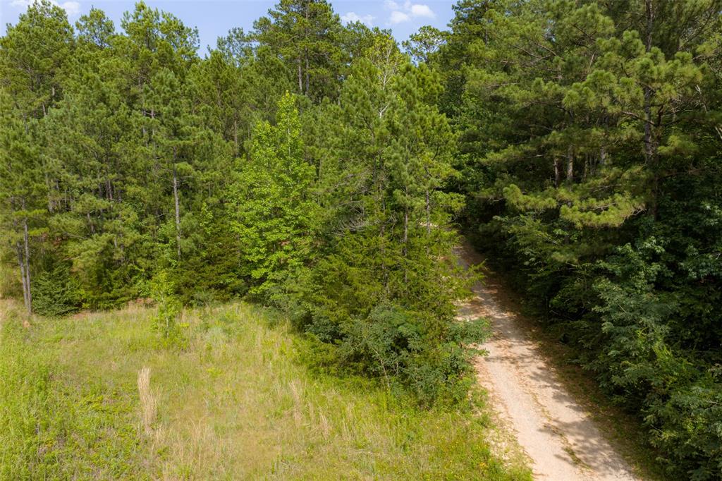00 County Road 4117 Property Photo 26