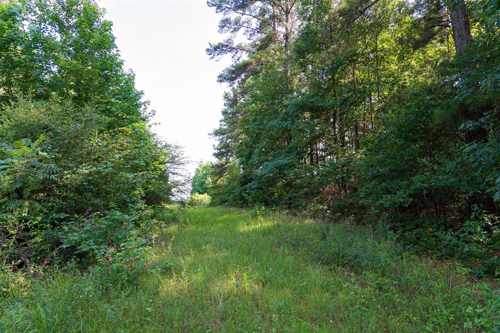 00 County Road 4117 Property Photo 30