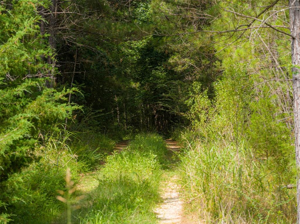 00 County Road 4117 Property Photo 33
