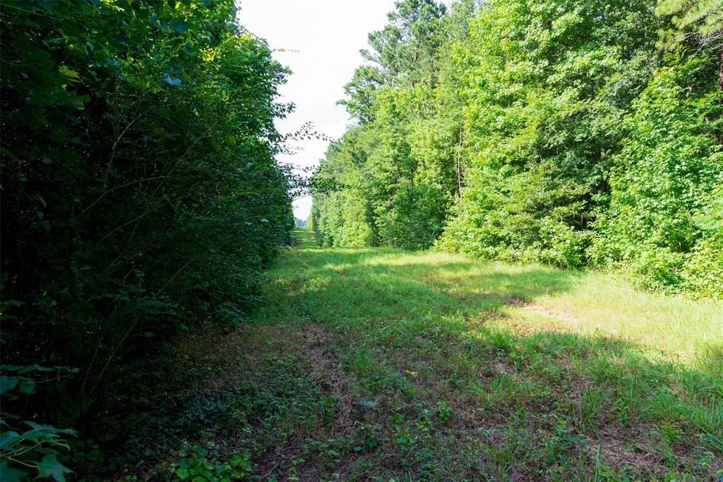 00 County Road 4117 Property Photo 34