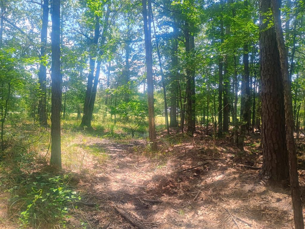 0 Tbd Property Photo 1