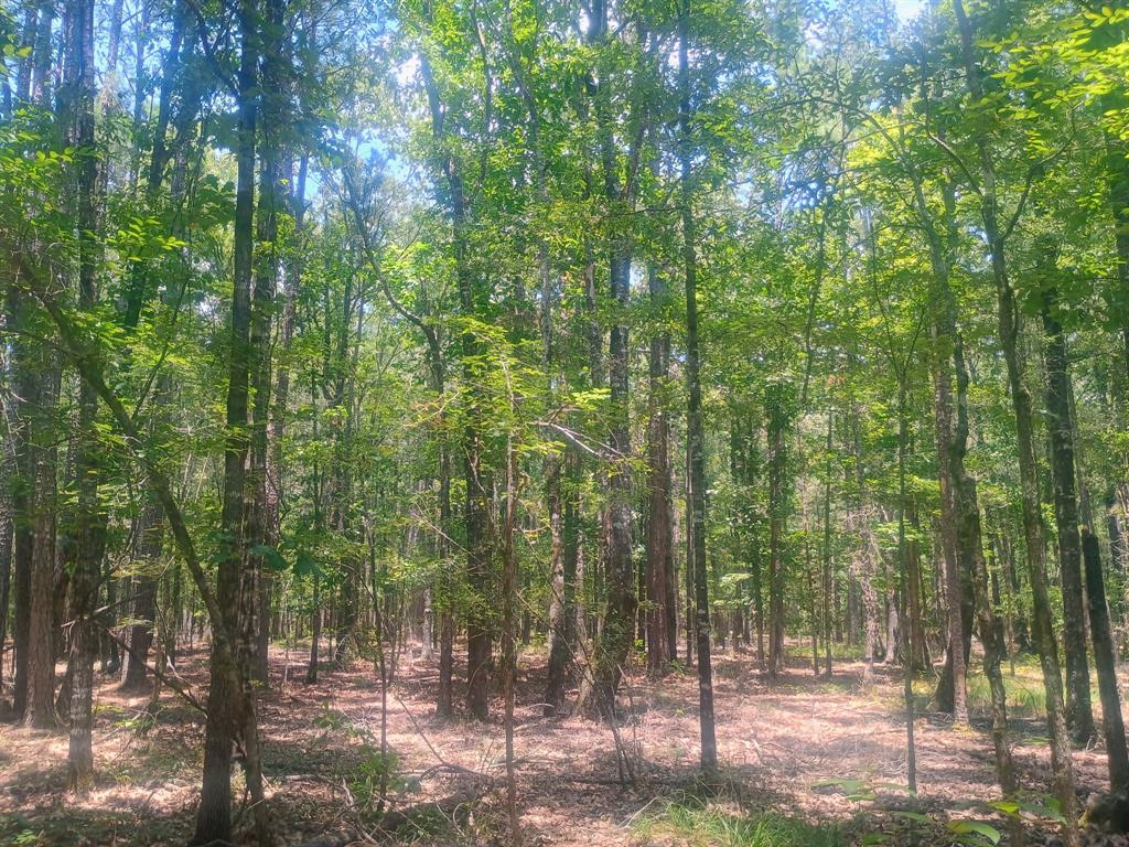 0 Tbd Property Photo 2