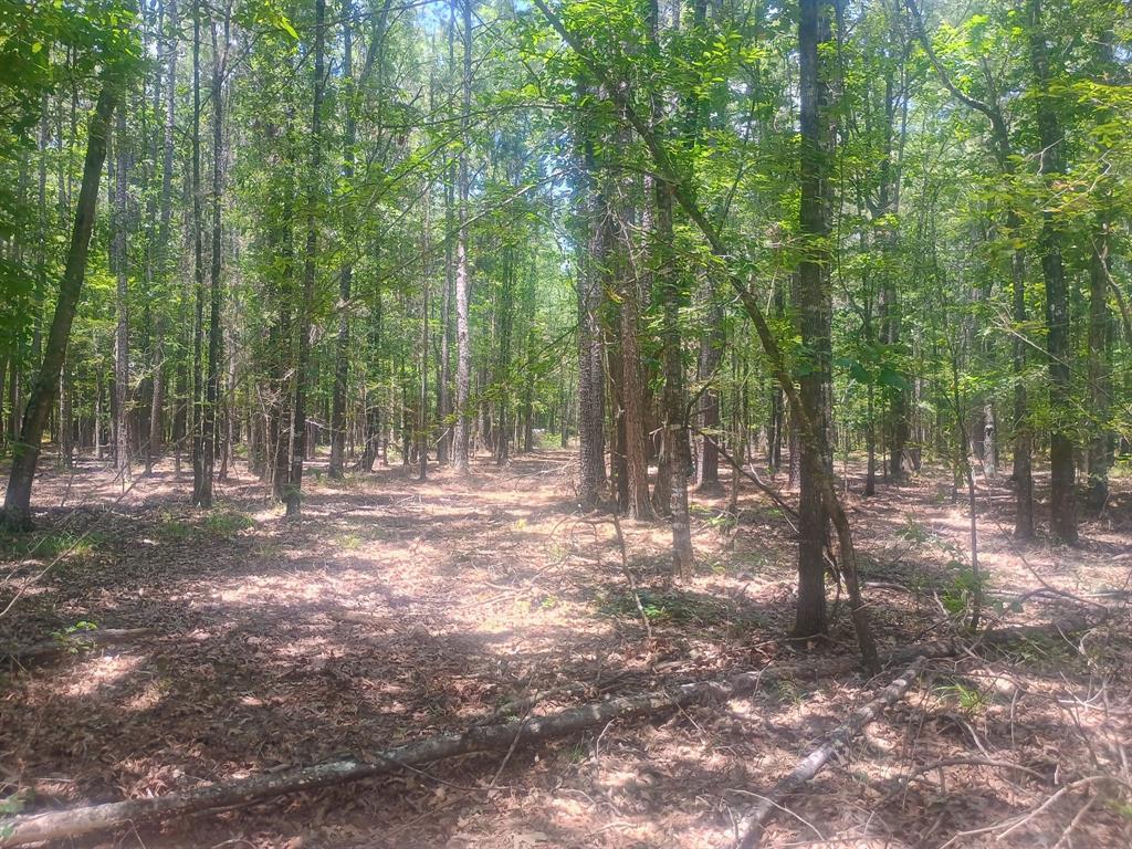 0 Tbd Property Photo 3