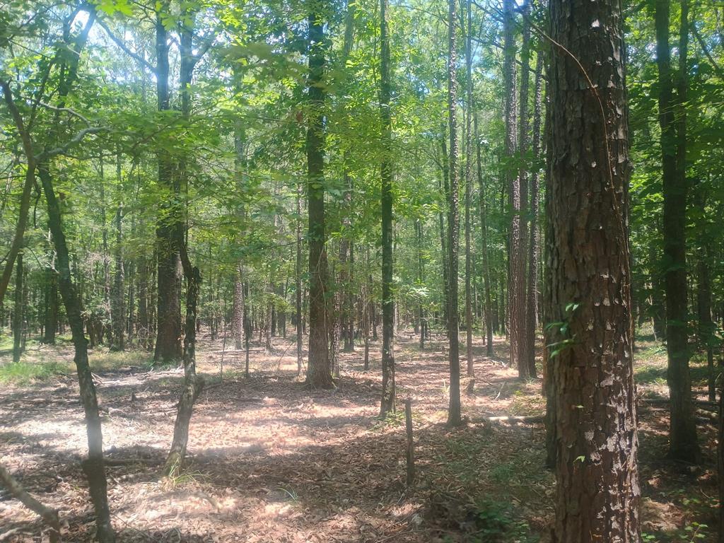 0 Tbd Property Photo 4
