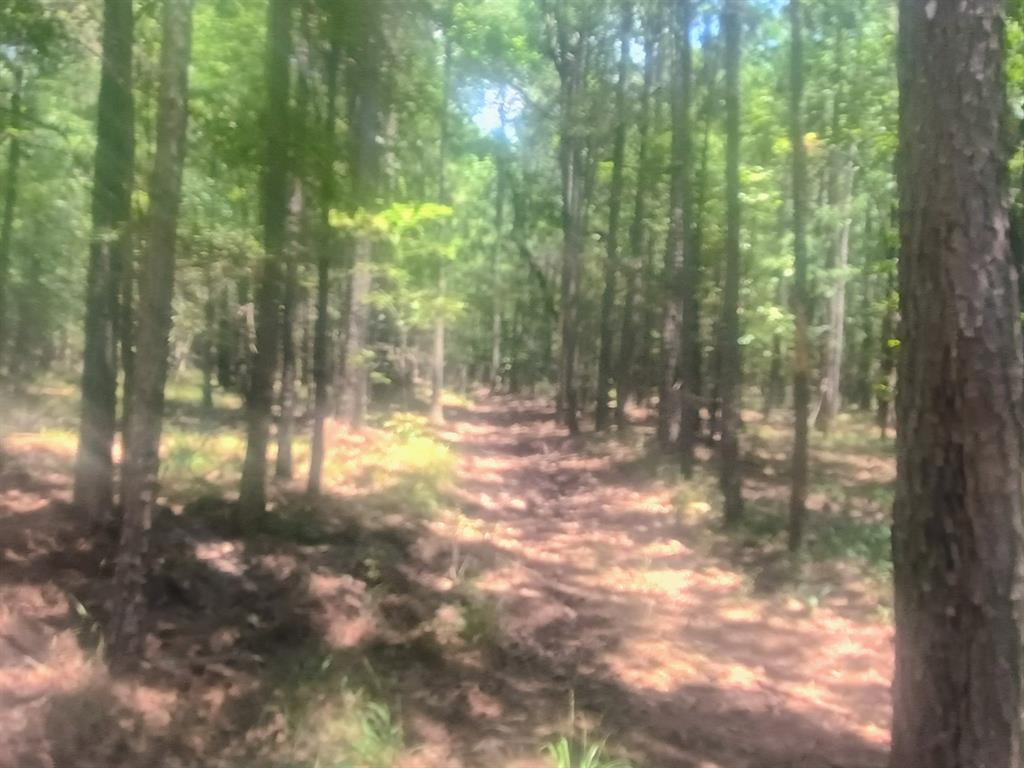 0 Tbd Property Photo 5