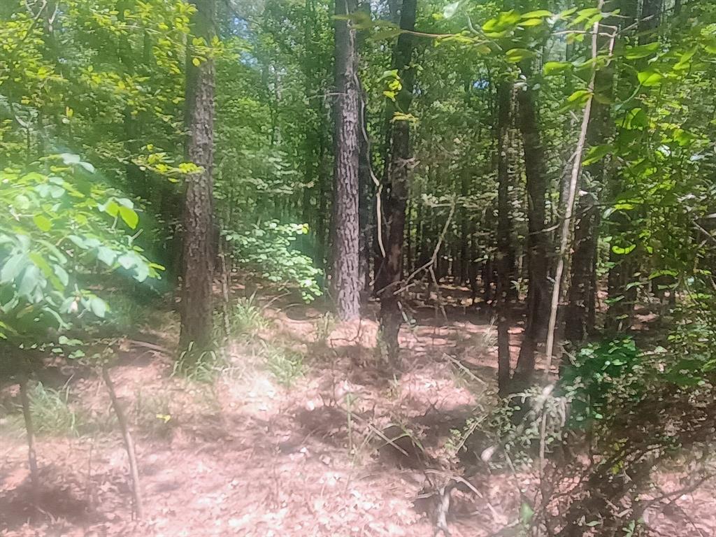 0 Tbd Property Photo 6