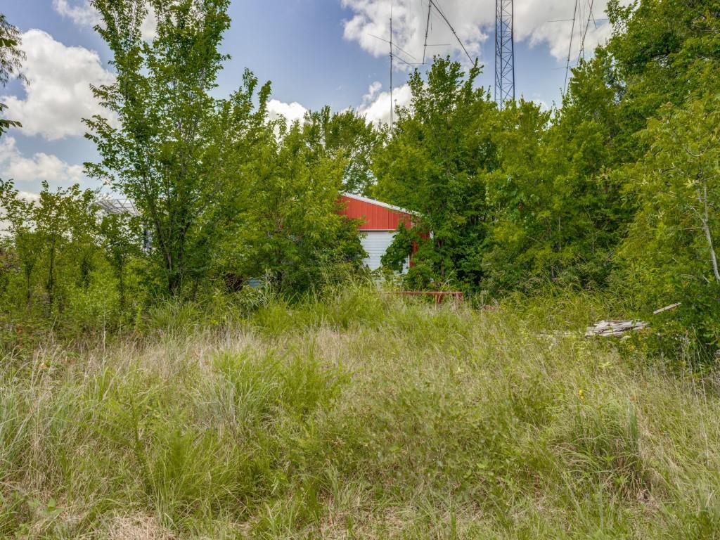 Tbd County Road 1110 Property Photo 6