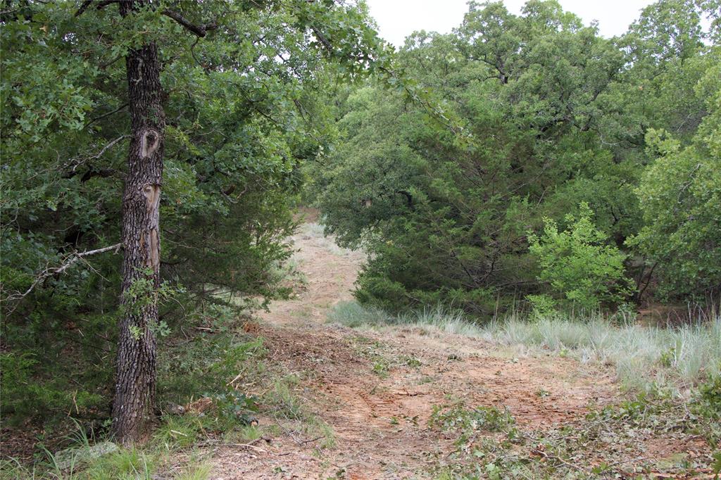 1309 County Road 1895 Property Photo 23